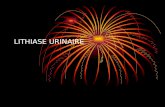 LITHIASE URINAIRE. DEFINITION La lithiase urinaire est une maladie qui consiste en la formation de calculs dans la voie urinaire. La voie urinaire comprend