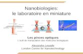 Nanobiologies: le laboratoire en miniature Les pinces optiques Loutil de manipulation des molécules biologiques Alexandre Lewalle London Centre for Nanotechnology.