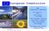 Commission Européenne - Direction Générale de lÉnergie et des Transports Mariàngels Pérez Latorre 1 European Commission AER Committee C Meeting EU Energy.