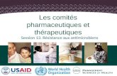 Session 13. Résistance aux antimicrobiens Les comités pharmaceutiques et thérapeutiques.