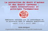 La protection du droit dauteur et des droits connexes : Cadre international et principes fondamentaux Séminaire national sur la contrefaçon et la piraterie.