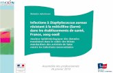 Assemblée des professionnels 26 janvier 2010. Objectifs: Décrire lincidence des infections à Sarm dans les ES de 2005 à 2008 Objectif principal: tendances.