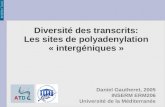 INSERM TAGC Diversité des transcrits: Les sites de polyadenylation « intergéniques » Daniel Gautheret, 2005 INSERM ERM206 Université de la Méditerranée.