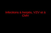 Infections à herpès, VZV et à CMV Juliette Pavie.