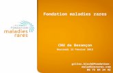 Fondation maladies rares CHU de Besançon Mercredi 13 Février 2013 gilles.bloch@fondation-maladiesrares.com 06 75 84 34 42.