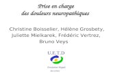 Prise en charge des douleurs neuropathiques Christine Boisselier, Hélène Grosbety, Juliette Mielkarek, Frédéric Vertrez, Bruno Veys Fondation Hopale U.E.T.D.