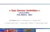 1 « Gas Sensor Activities » LAAS-CNRS Pôle MINAS - M2D -Ph. Ménini (MCF) - A. Martinez (Pr) - E. Scheid (CR1) – - H. Chalabi (doct3 -ACI) - C. Tropis (doct2.