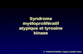 Syndrome myéloprolifératif atypique et tyrosine kinase C. PREUDHOMME, Angers octobre 2004.