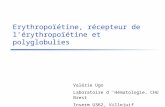 Erythropoïétine, récepteur de lérythropoïétine et polyglobulies Valérie Ugo Laboratoire d Hématologie, CHU Brest Inserm U362, Villejuif.