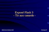 Exposé Flash 3 - Tir aux canards - BRIGOLLE Mathieu GI04Printemps 07.