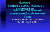 Synthèse des activités et présentation de travaux daxes Présentation AG Costech du 25 juin 2004 Groupe Coopération, Risque, Innovation.