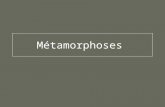 Métamorphoses. Étymologie Du grec « metamorphosis » : Changement de forme Du préfixe « méta » qui indique le changement et « morphe » la forme Racine.