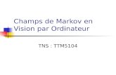 Champs de Markov en Vision par Ordinateur TNS : TTM5104.