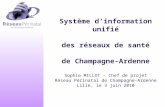 Système dinformation unifié des réseaux de santé de Champagne-Ardenne Sophie MILLOT – Chef de projet Réseau Périnatal de Champagne-Ardenne Lille, le 3.