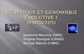 Sandrine Maurice (UM2) Virginie Ravigné (CIRAD) Nicolas Bierne (CNRS)