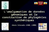 Lamalgamation de données génomiques et la construction de phylogénies synthétiques Alexis Criscuolo (ISEM, LIRMM)
