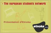 0 Présentation dEtnoka. 1 Crée en 1999, Etnoka compte aujourdhui 40 salariés et est présente dans 4 pays: France, Pays-Bas, Espagne et Allemagne Etnoka.