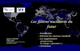 S.David, les filières nucléaires du futur, Atelier Prog. Energie CNRS – Gat « socioé économie », 20 Janvier 2005, Nogent sur Marne 1 Les filières nucléaires.
