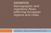 DEMIFER Demographic and migratory flows affecting European regions and cities Synthèse : Bruno Schoumaker (UCL)