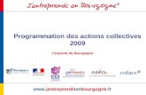 Programmation des actions collectives 2009  Jexporte de Bourgogne.