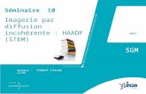 © [C.Esnouf], [2011], INSA de Lyon, tous droits réservés 2011 SGM Auteur : ESNOUF Claude CLYM Séminaire 10 Imagerie par diffusion incohérente : HAADF (STEM)