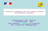 « Ressources numériques pour les langues vivantes : mutualisation nationale » Cyberlangues 10 ème édition 24-26 août 2010 – PAU Anik Monoury – DGESCO A3-2/Bureau.