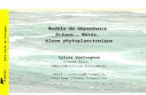 Défi Golfe de Gascogne - Brest, déc. 2002 Modèle de dépendance Océano - Météo, bloom phytoplanctonique Sylvie VanIseghem Ifremer Brest - TMSI/IDM/Cellule.