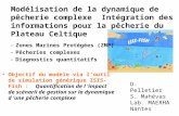 Modélisation de la dynamique de pêcherie complexe Intégration des informations pour la pêcherie du Plateau Celtique D. Pelletier S. Mahévas Lab. MAERHA.
