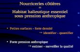 Nourriceries côtières = Habitat halieutique essentiel sous pression anthropique Petites surfaces - forte densité identifier - quantifier Forte pression.