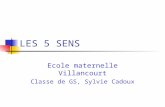LES 5 SENS Ecole maternelle Villancourt Classe de GS, Sylvie Cadoux.