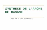 SYNTHESE DE LARÔME DE BANANE Par le club sciences.