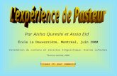 Par Aisha Qureshi et Assia Eid École La Dauversière, Montréal, juin 2000 Validation du contenu et révision linguistique: Karine Lefevbre Science animée,