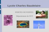 Lycée Charles Baudelaire PORTES OUVERTES Département de SVT.