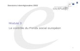 1 Sessions interrégionales 2002 Module 3 Le contrôle du Fonds social européen.