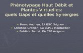 Phénotypage Haut Débit et Plantes Virtuelles: quels Gaps et quelles Synergies Bruno Andrieu, EA EGC Grignon Bruno Andrieu, EA EGC Grignon Christine Granier,