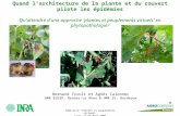 Séminaire 'Plantes et peuplements virtuels' Lyon, 27-28 Mars 2008 Quand l'architecture de la plante et du couvert pilote les épidémies Qu'attendre d'une.