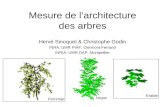 Mesure de larchitecture des arbres Hervé Sinoquet & Christophe Godin INRA, UMR PIAF, Clermont-Ferrand INRIA, UMR DAP, Montpellier Pommier Erable Noyer.