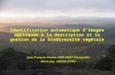 Identification automatique dimages appliquée à la description et la gestion de la biodiversité végétale Jean-François Molino UMR AMAP Montpellier Alexis.