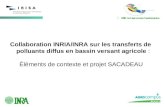 Collaboration INRIA/INRA sur les transferts de polluants diffus en bassin versant agricole : Éléments de contexte et projet SACADEAU.