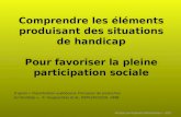 Réalisé par Raphaël deRiedmatten - 2002 Comprendre les éléments produisant des situations de handicap Pour favoriser la pleine participation sociale Daprès.