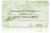 Esclavage et habitation en Guadeloupe XVII e – XVIII e siècles Classe de seconde.