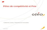 Novembre 2006 Pôles de compétitivité et Pme Catherine Larrieu, Directrice de lInnovation.