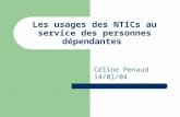 Les usages des NTICs au service des personnes dépendantes Céline Penaud 14/01/04.
