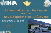 Fédération de Recherche : INRA LRDE 11 décembre 2007 Laboratoire de Recherche sur le Développement de lÉlevage Présentation de lUR Rémi Bouche.