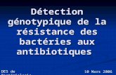 Détection génotypique de la résistance des bactéries aux antibiotiques DES de Bactériologie 10 Mars 2006.