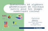 1 Quaternions et algèbres géométriques de nouveaux outils pour les images numériques couleur 13 Décembre 2007 Patrice Denis Direction : Christine Fernandez-Maloigne.