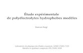 Étude expérimentale de polyélectrolytes hydrophobes modèles Damien Baigl Laboratoire de physique des fluides organisés, UMR CNRS 7125 Matière et systèmes.