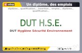 DUT Hygiène Sécurité Environnement diplôme qualification insertion emploi diplôme qualification