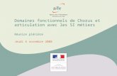 Domaines fonctionnels de Chorus et articulation avec les SI métiers Réunion plénière Jeudi 6 novembre 2008.
