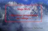 Stage 0029 « Nouveaux programmes au collège » 2006-2007 Andréa Gratreau Nadège Bigot.